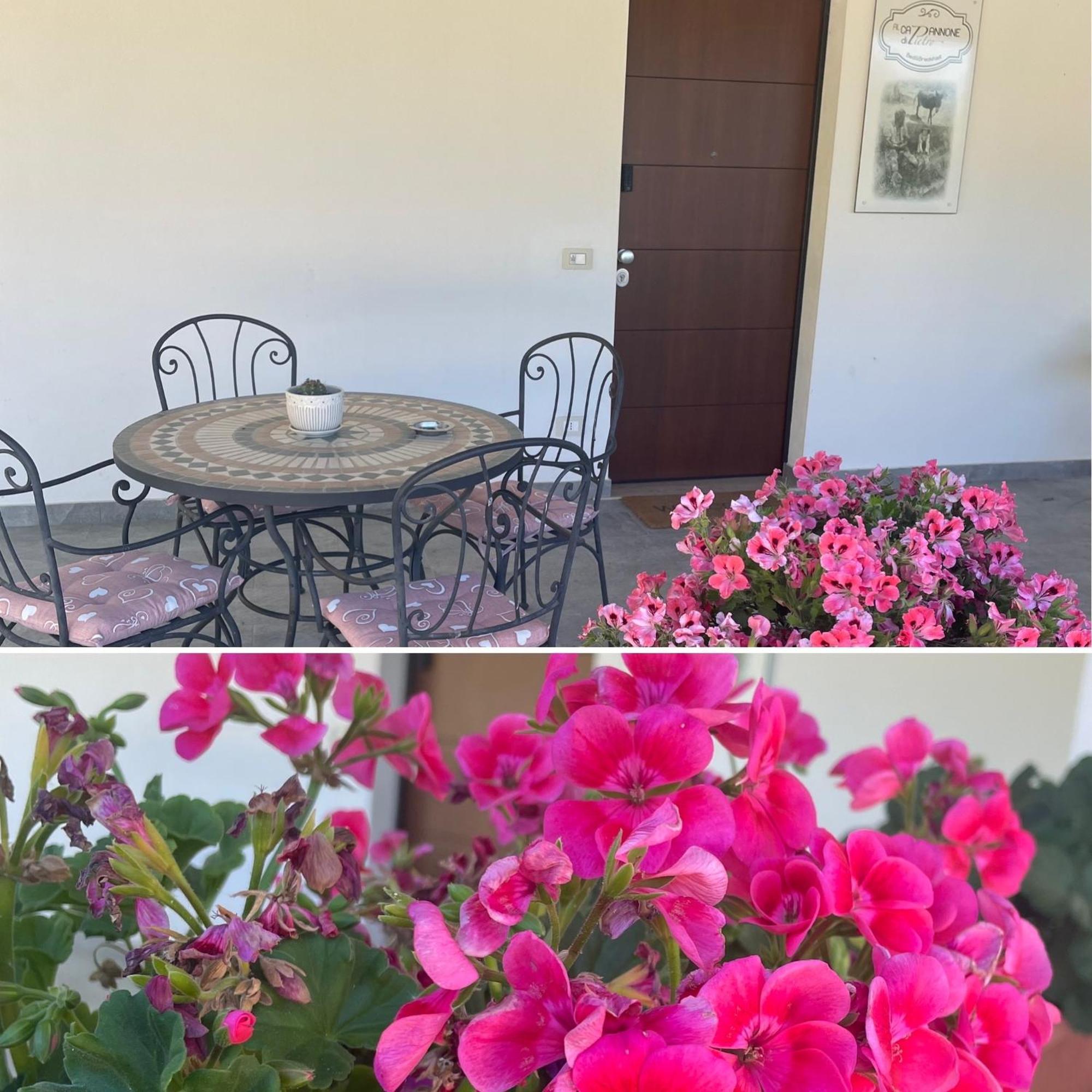 Bed and Breakfast Al Capannone Di Pietro Colli a Volturno Exterior foto